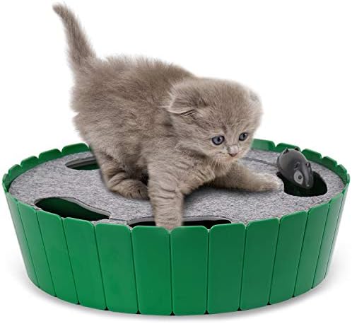 Pawaboo Interactive Cat Toy with Running Mouse, Automatic Track Kitten Toy  Green : Pet Supplies