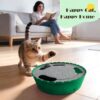Pawaboo Interactive Cat Toy with Running Mouse, Automatic Track Kitten Toy  Green : Pet Supplies