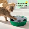 Pawaboo Interactive Cat Toy with Running Mouse, Automatic Track Kitten Toy  Green : Pet Supplies