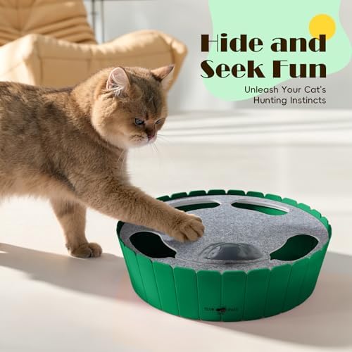 Pawaboo Interactive Cat Toy with Running Mouse, Automatic Track Kitten Toy  Green : Pet Supplies