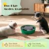 Pawaboo Interactive Cat Toy with Running Mouse, Automatic Track Kitten Toy  Green : Pet Supplies