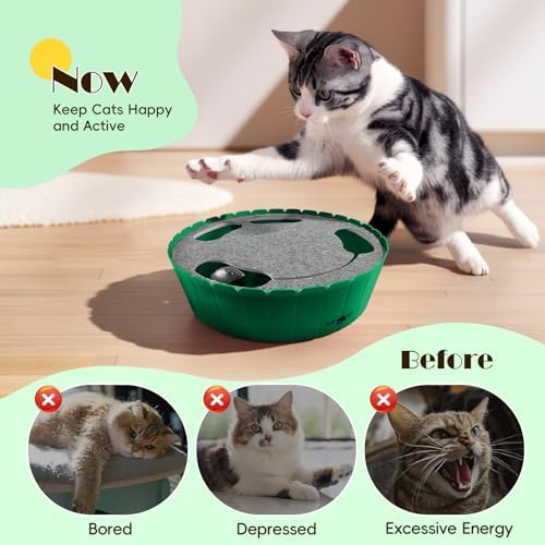 Pawaboo Interactive Cat Toy with Running Mouse, Automatic Track Kitten Toy  Green : Pet Supplies